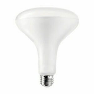 LED BR40 Bulb – 8-15W