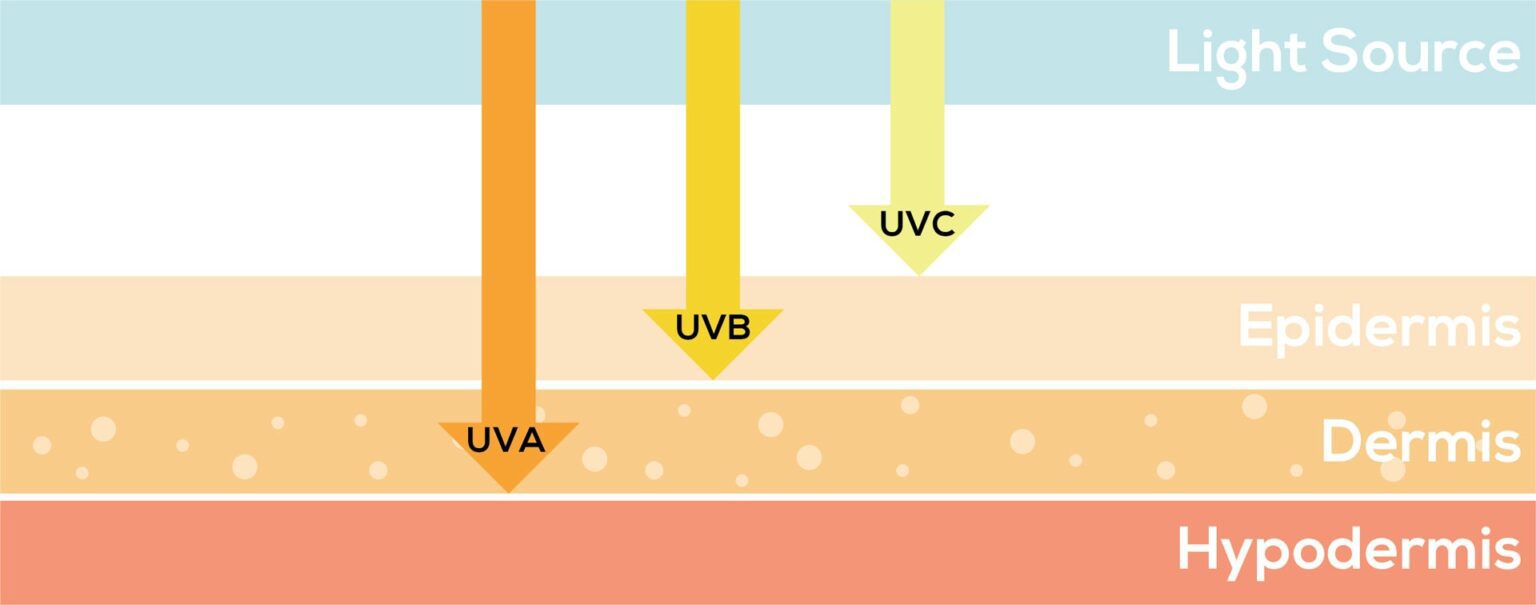 UVC Sterilization Guide – SARIN Energy Solutions