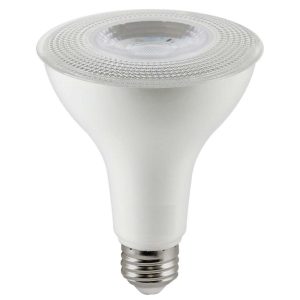 LED PAR30 Bulb – 10W