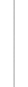 Essence (1)