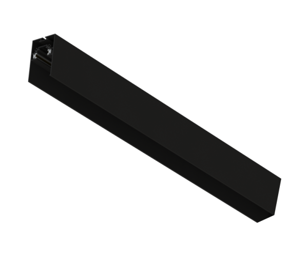 12020 SES-MEN-RAIL