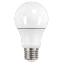 10009 Bulb A21 6500K 15W