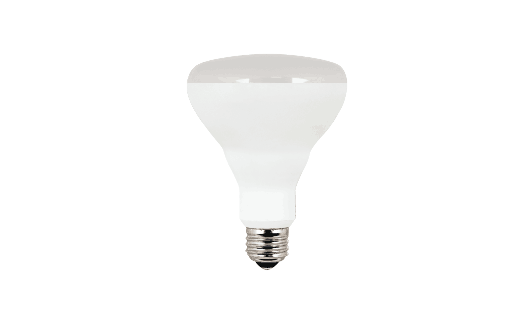 10033 Bulb BR30 5000K 9W