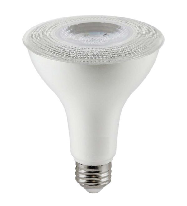 10054 Bulb PAR30 5000K 10W