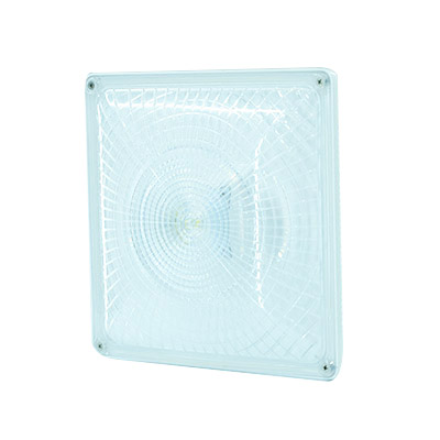 10320 Canopy Light Garage Light, PG02, CP2 5700K 55W