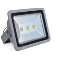 10402 Flood Light FL Yoke 5700K 100W