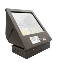 10504 Wall Pack WPBR 5000K 60W