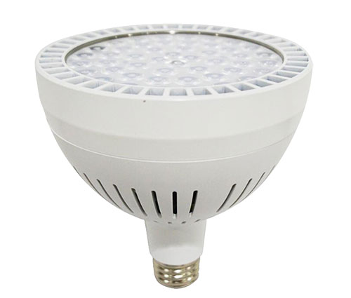 10068 Bulb PAR38 6000K 60W