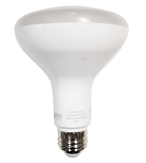 10036 Bulb BR30H 5000K 12W