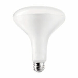 10037 Bulb BR40 2700K 15W