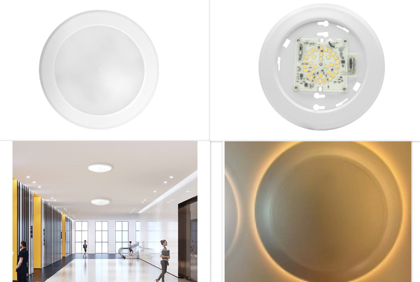Disc Light