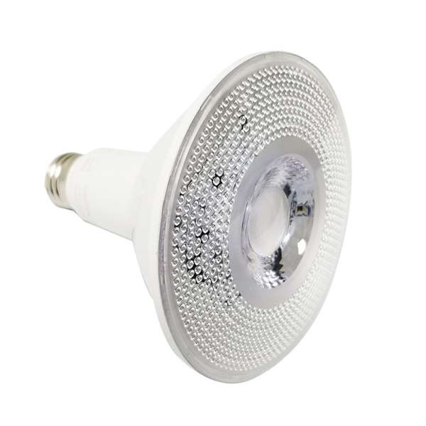 10024 Bulb PAR38 Black 5000K 15W