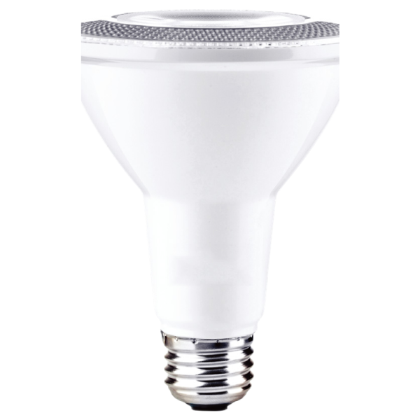 10062 Bulb PAR38H 5000K 15W