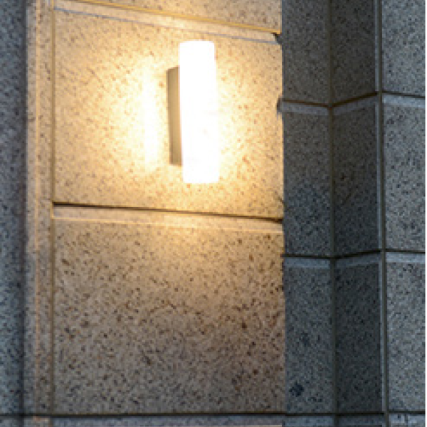 10790 Sconce WL1661S 5000K 12W