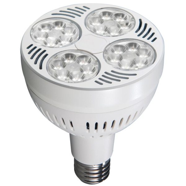 10018 Bulb PAR30 6000K 35W