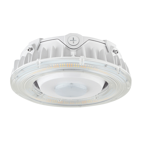 10826 SES-PG-55-CCT-WH-D