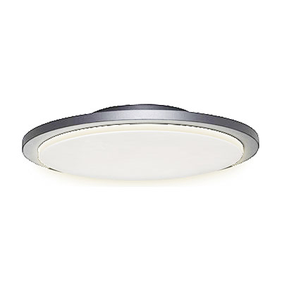 10535 SES-WL/CL18903-5000-Silver